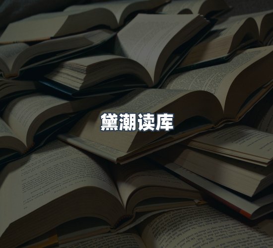 关于黛潮读库